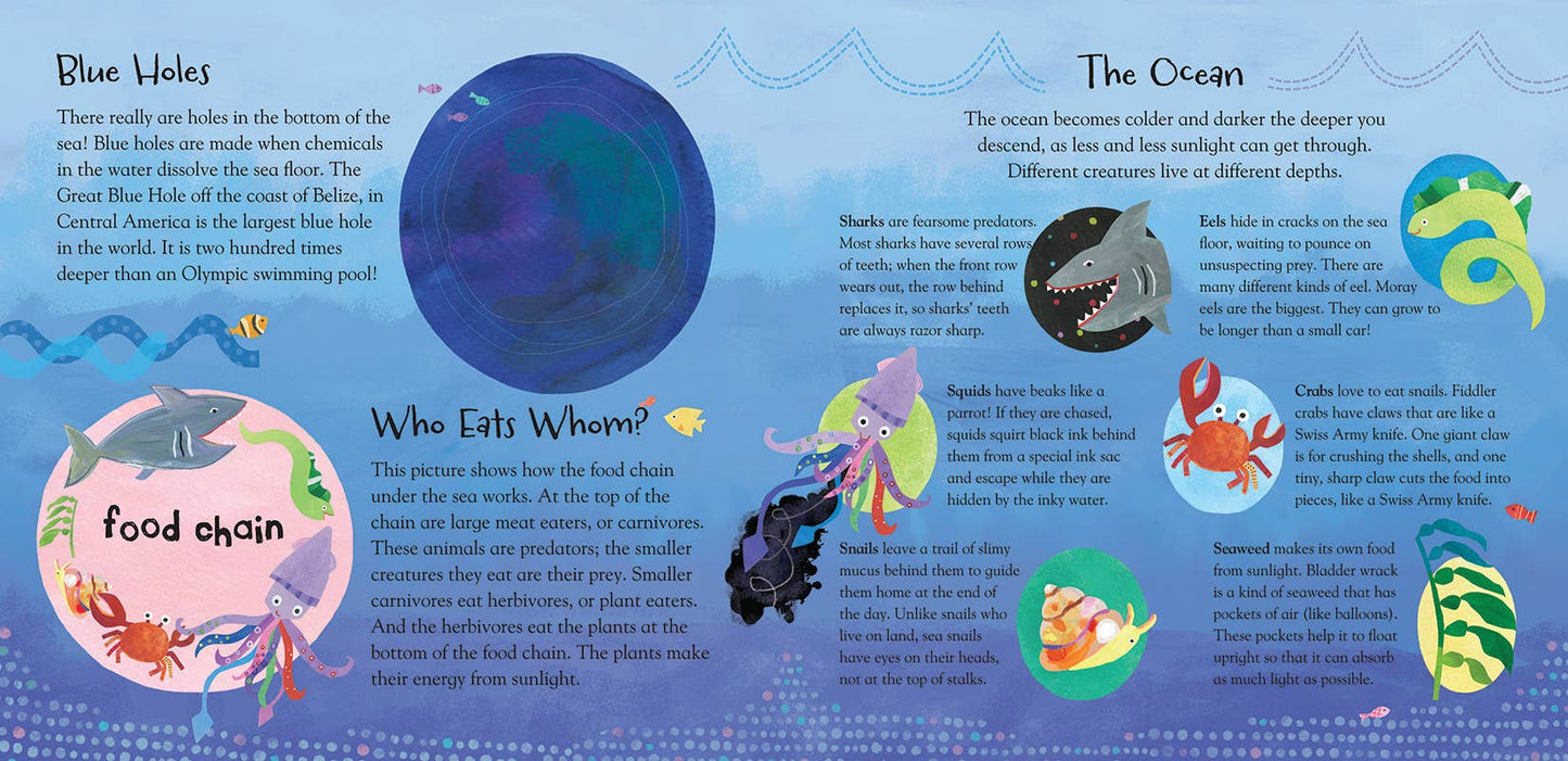 A Hole in the Bottom of the Sea - Children's Book