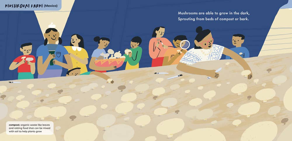 Food for the Future - Children's Book