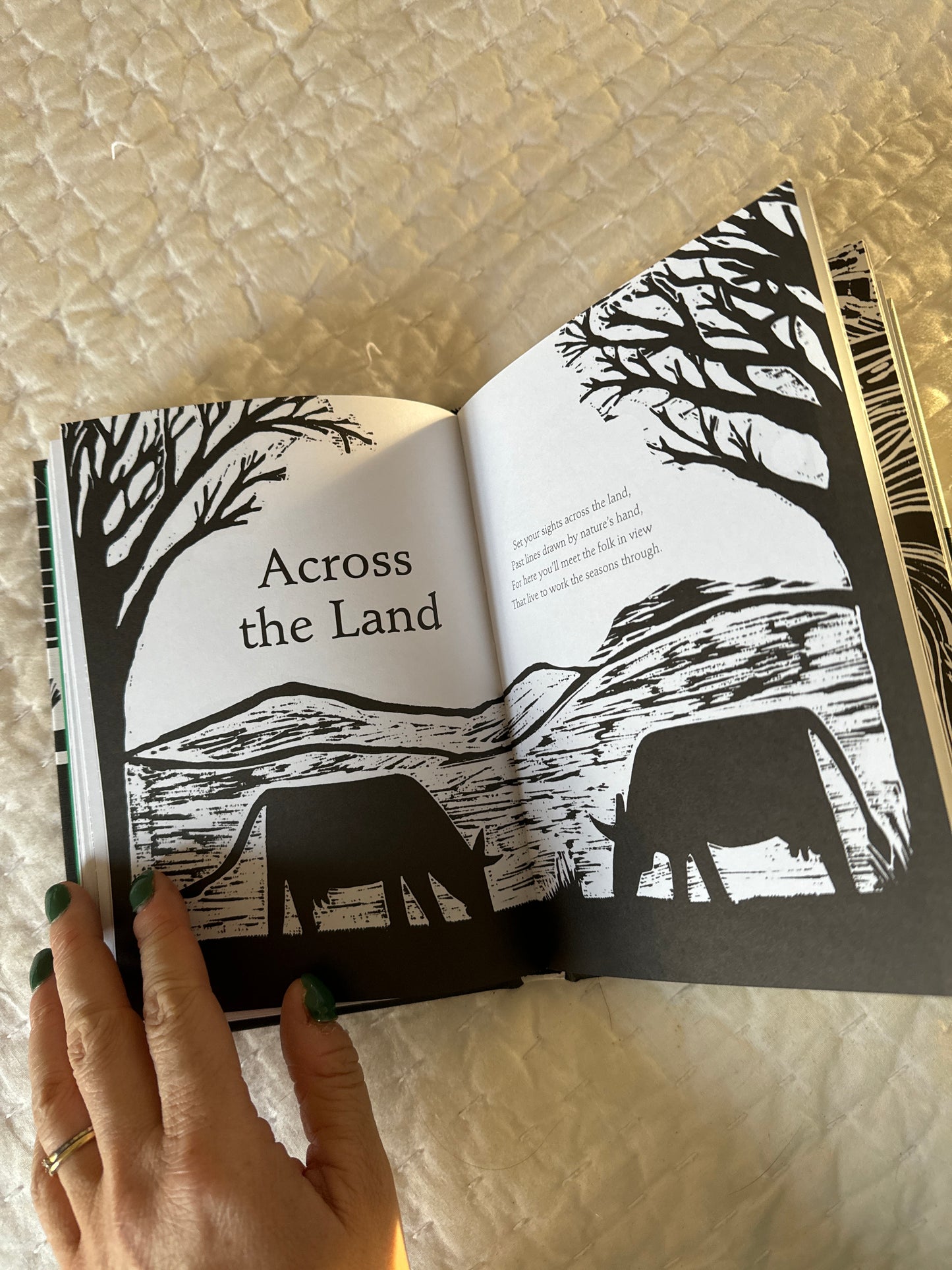 Our Isles - Poems celebrating the art of rural trades and traditions by Angus D. Birditt & Lilly Hedley
