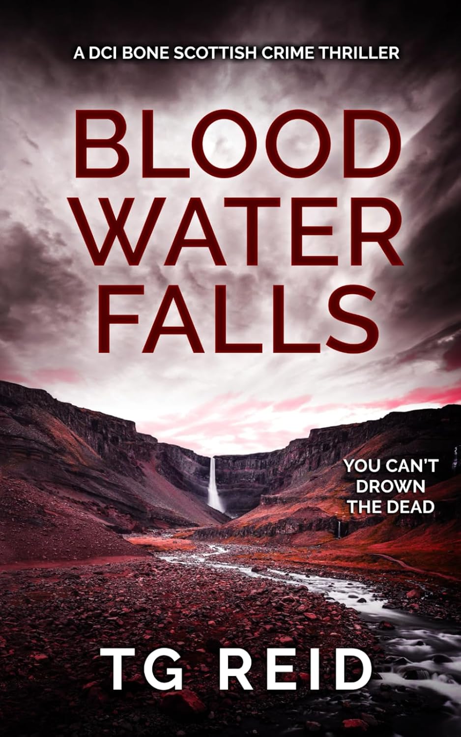 Blood Water Falls: Book 2 of 9 by T G Reid