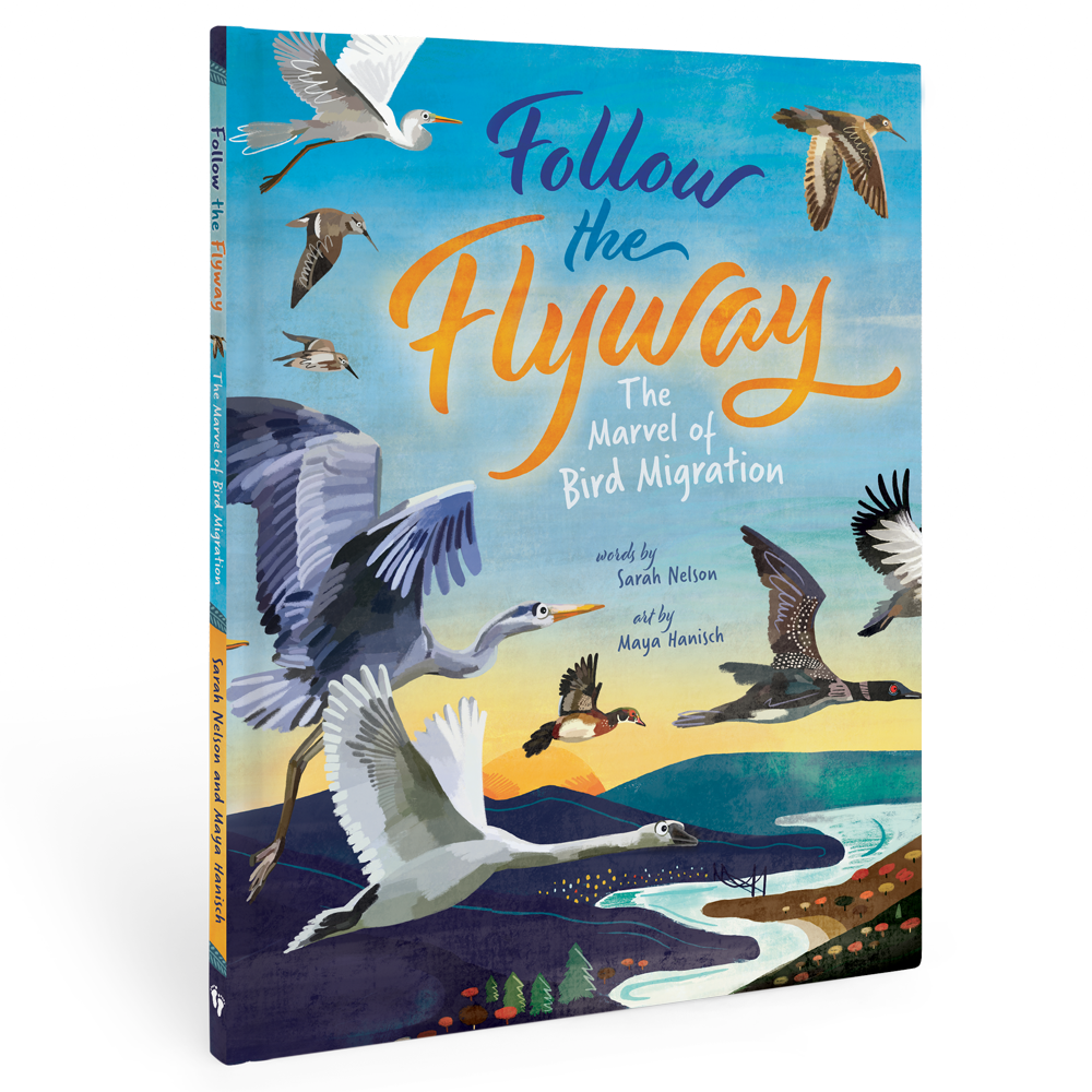 Follow the Flyway - Children's Book