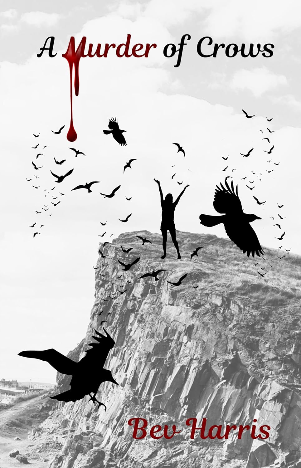 A Murder of Crows by Bev Harris