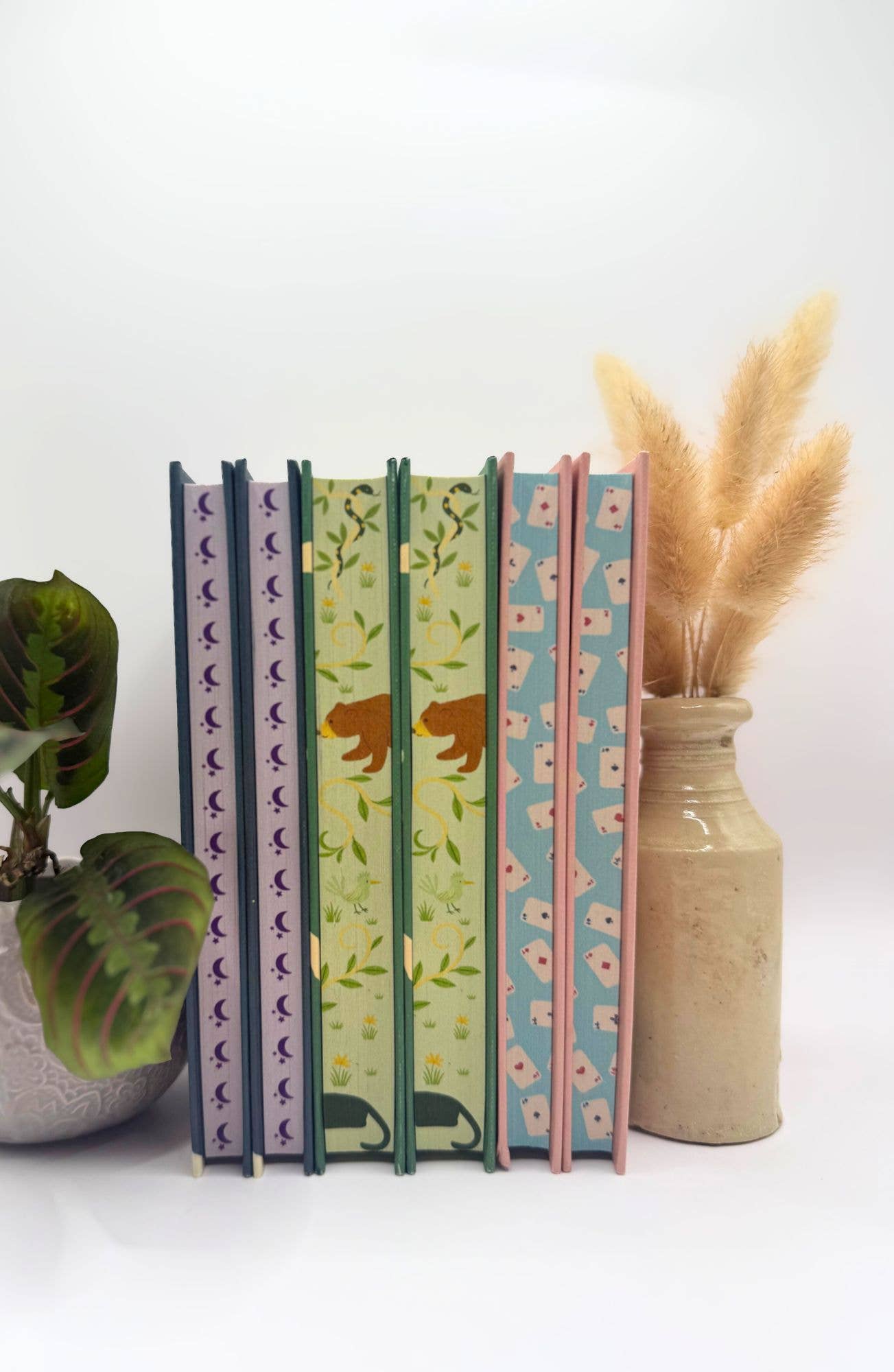 The Jungle Book (Wordsworth Collector's Limited Edition)