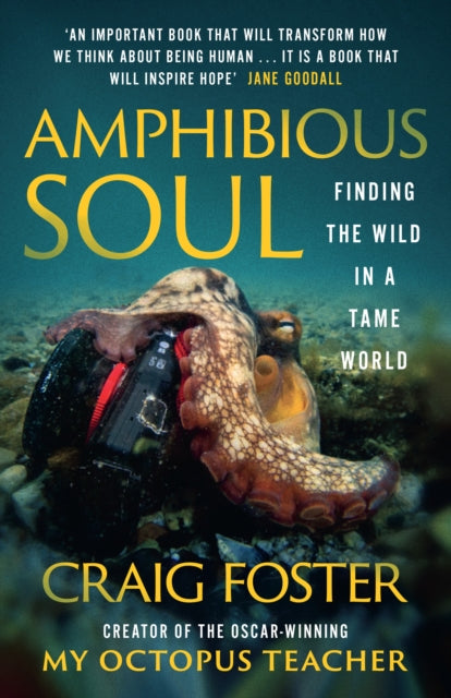 Amphibious Soul : Finding the Wild in a Tame World by Craig Foster