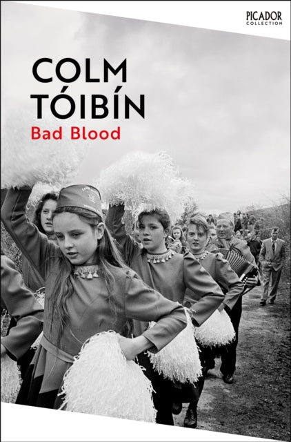 Bad Blood : A Walk Along the Irish Border by Colm Toibin