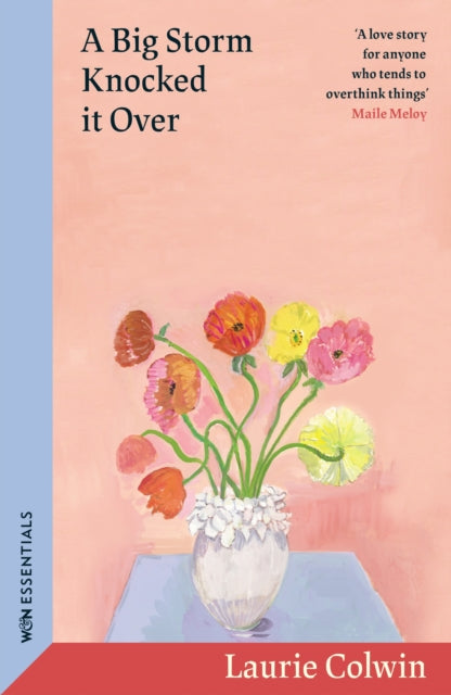 A Big Storm Knocked it Over by Laurie Colwin