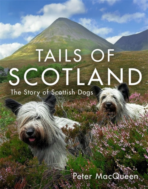 **Pre-Order Now** Tails of Scotland : The Story of Scottish Dogs by Peter MacQueen