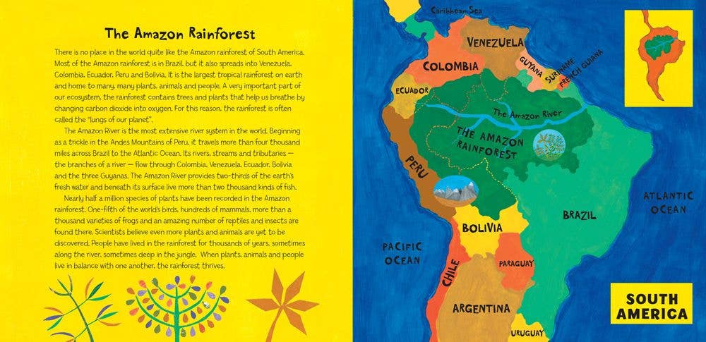 Nous errons dans la forêt tropicale - Livre pour enfants