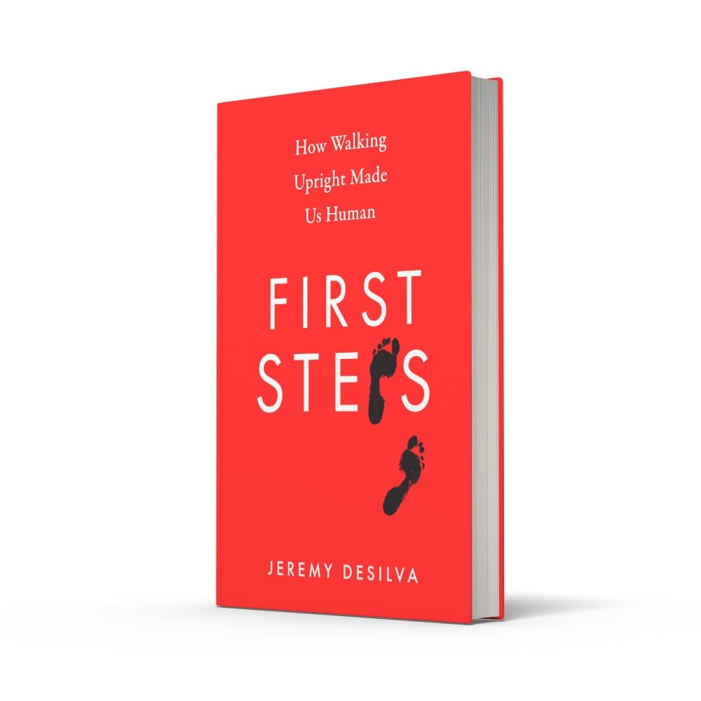 First Steps: How Walking Upright Made Us Human by Jeremy Desilva