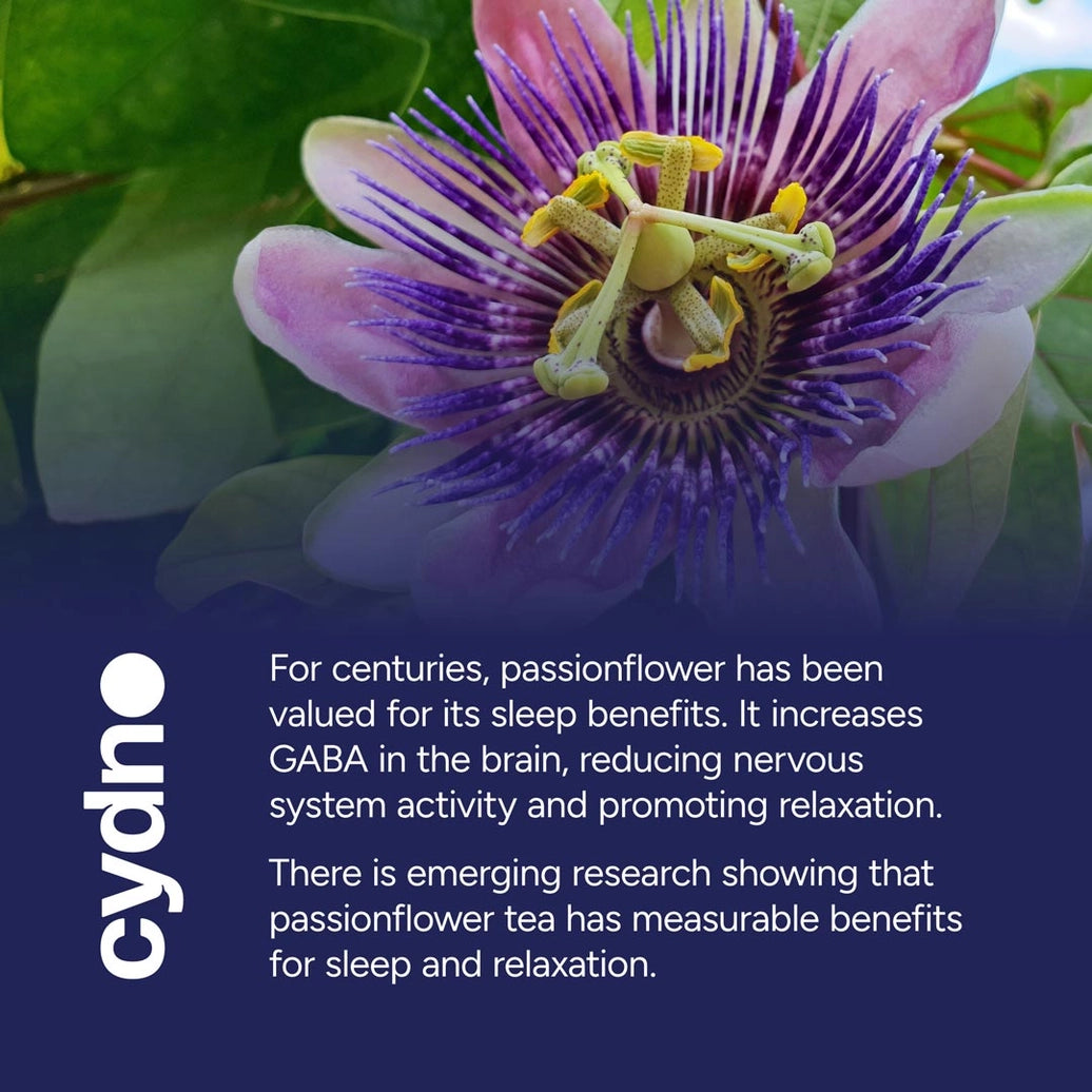Sleepy Tea | Passionflower Tea | Plastic-Free Pyramid Bags