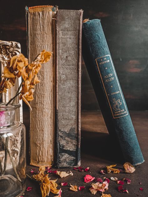 Books are my bag