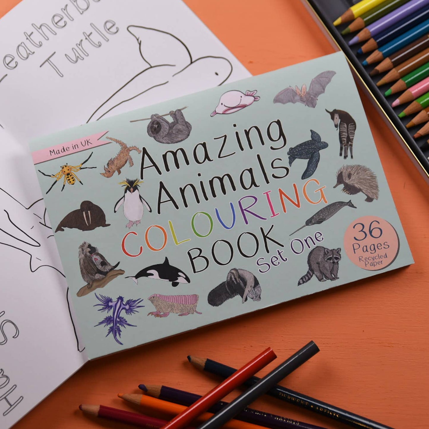Amazing Animals Set One Colouring Book
