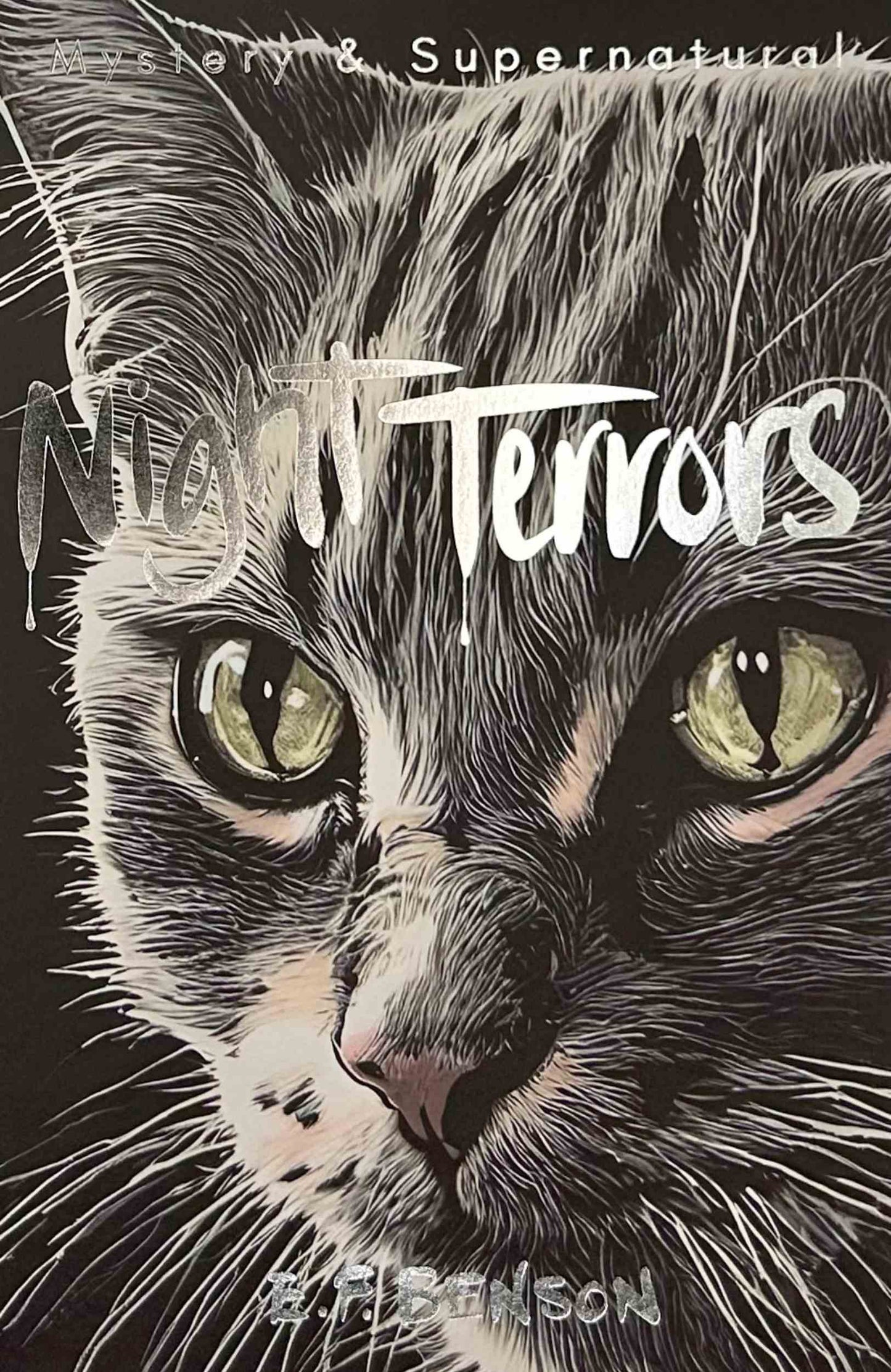 Night Terrors: The Ghost Stories of E.F. Benson (Paperback)
