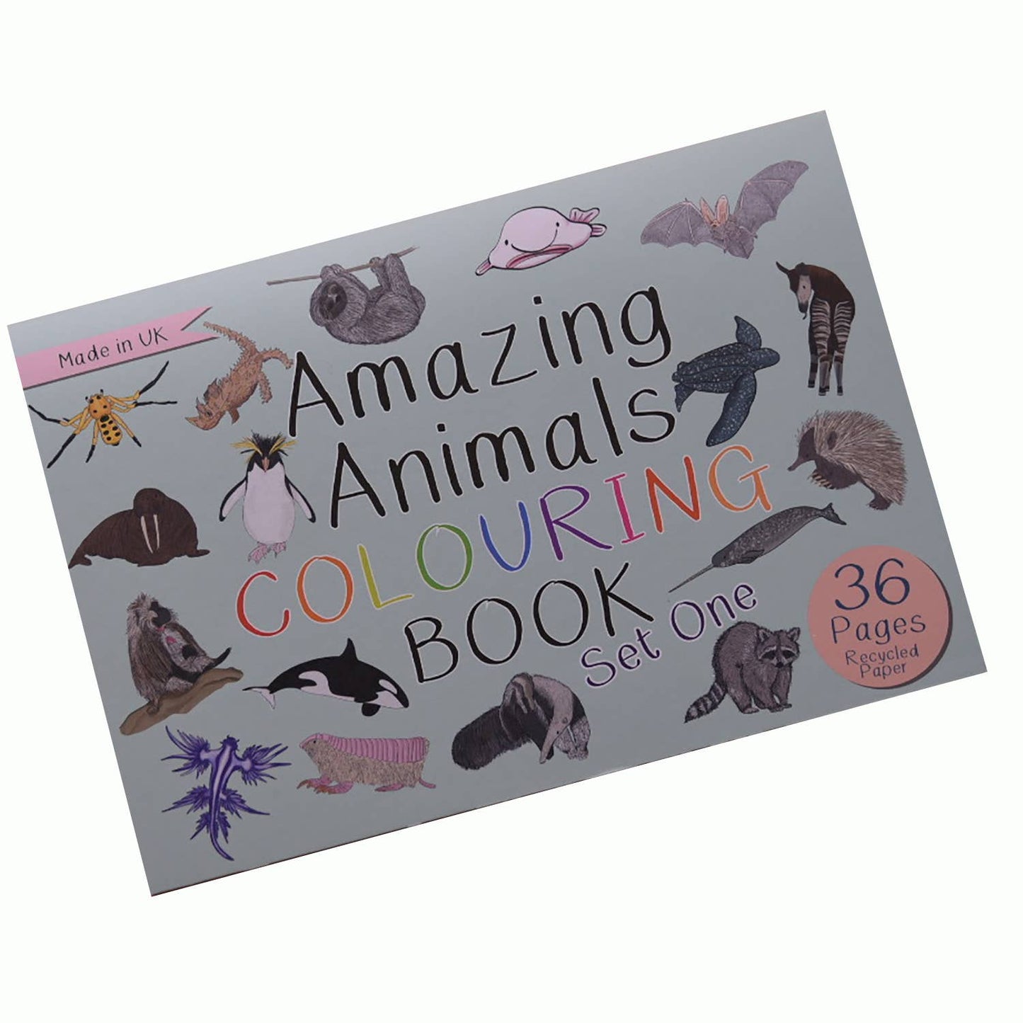 Amazing Animals Set One Colouring Book