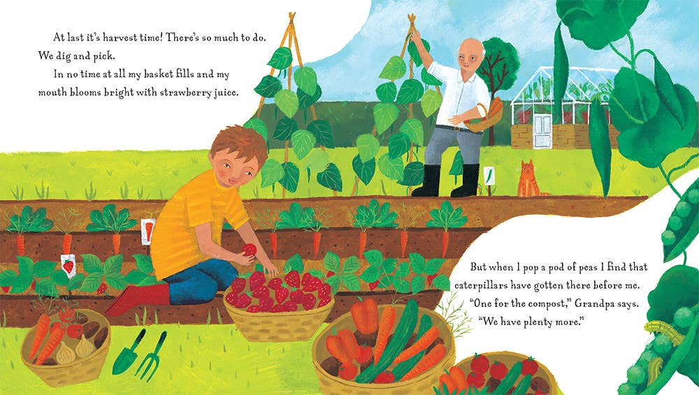 Le jardin de grand-père – Livre pour enfants