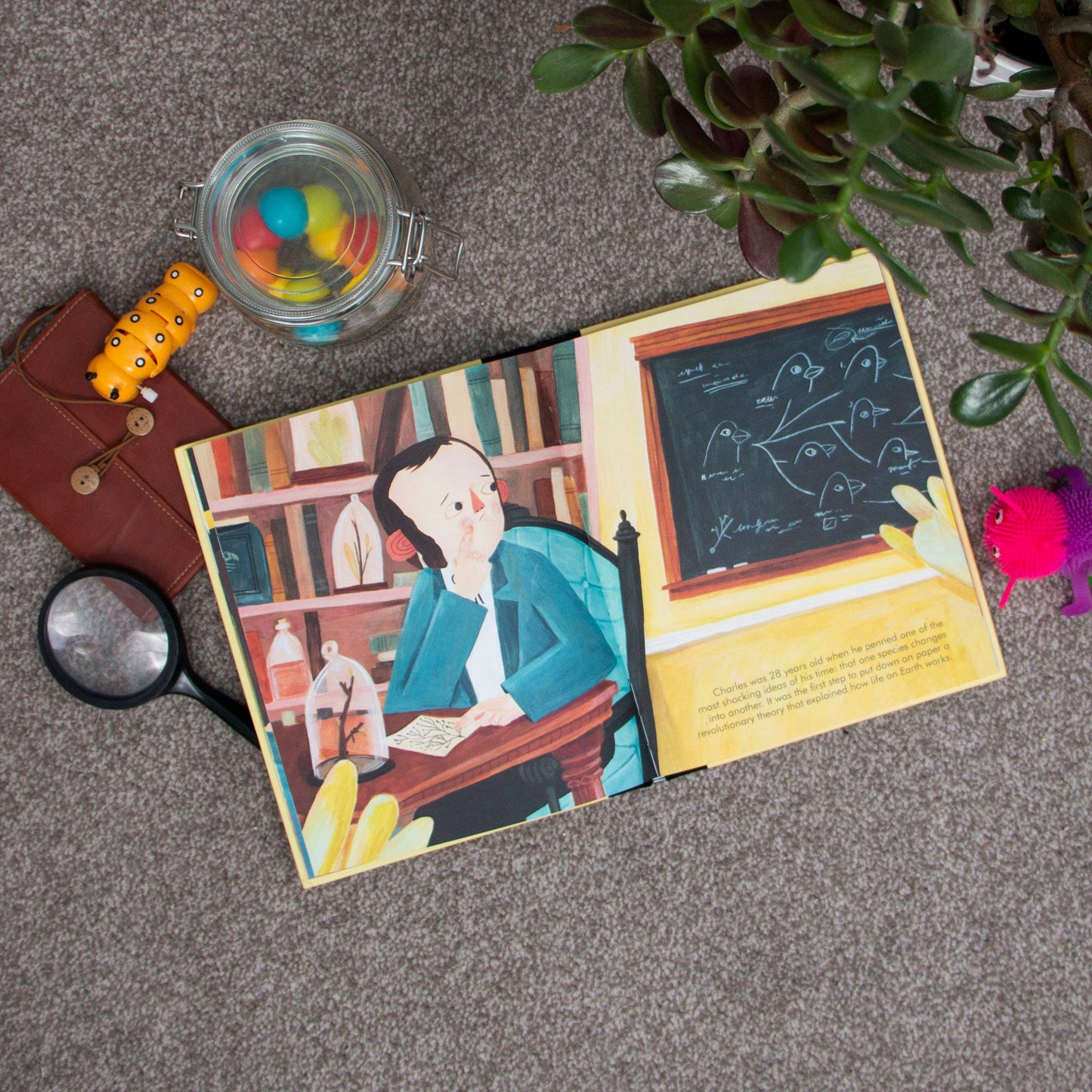 Little People, Big Dreams: Charles Darwin