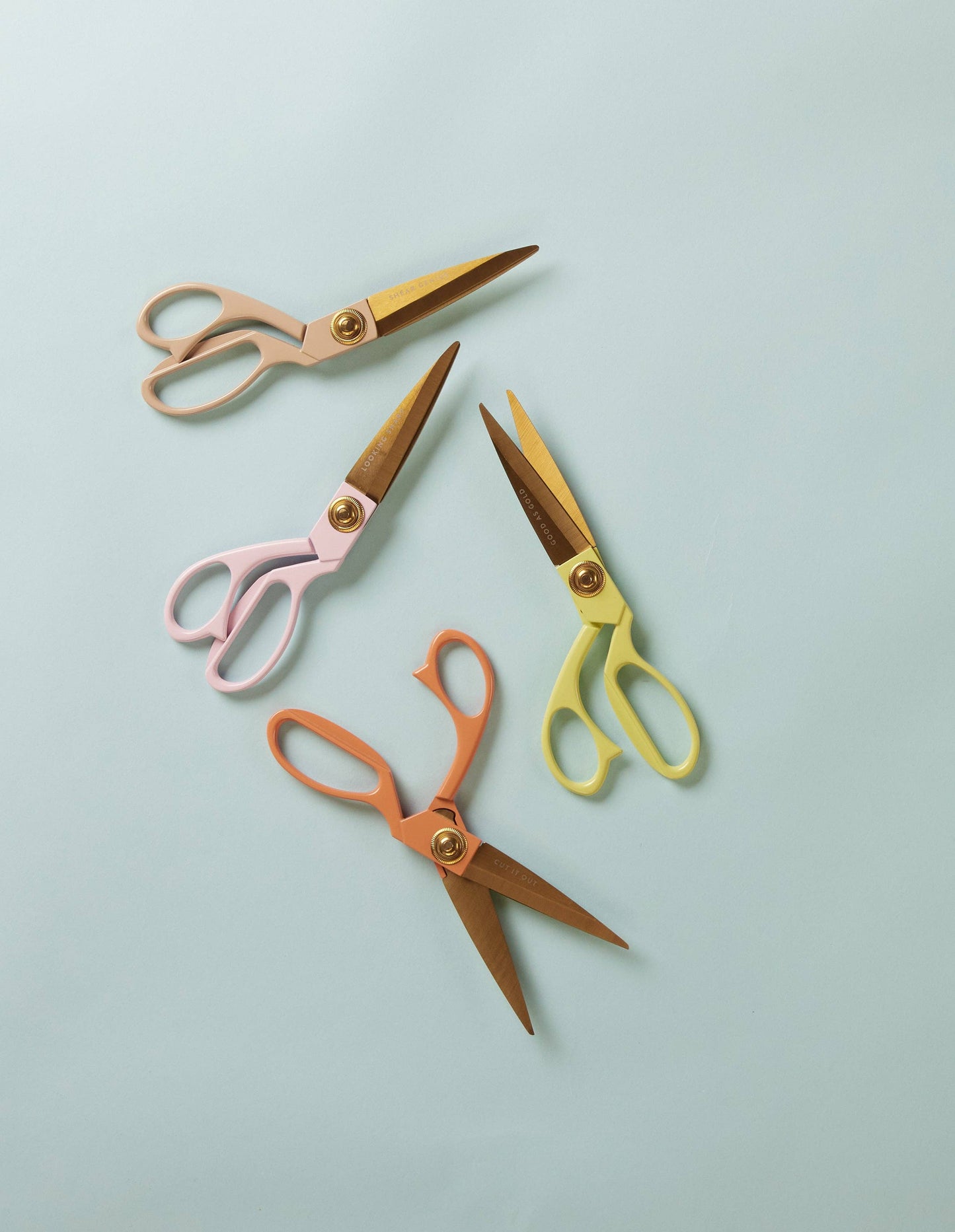 Designworks Ink Scissors Boxed - Poppy - Cut It Out