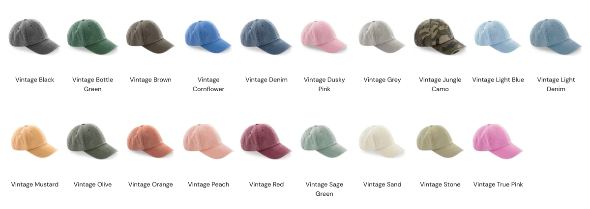 Introverted but willing to discuss books Embroidered Cap