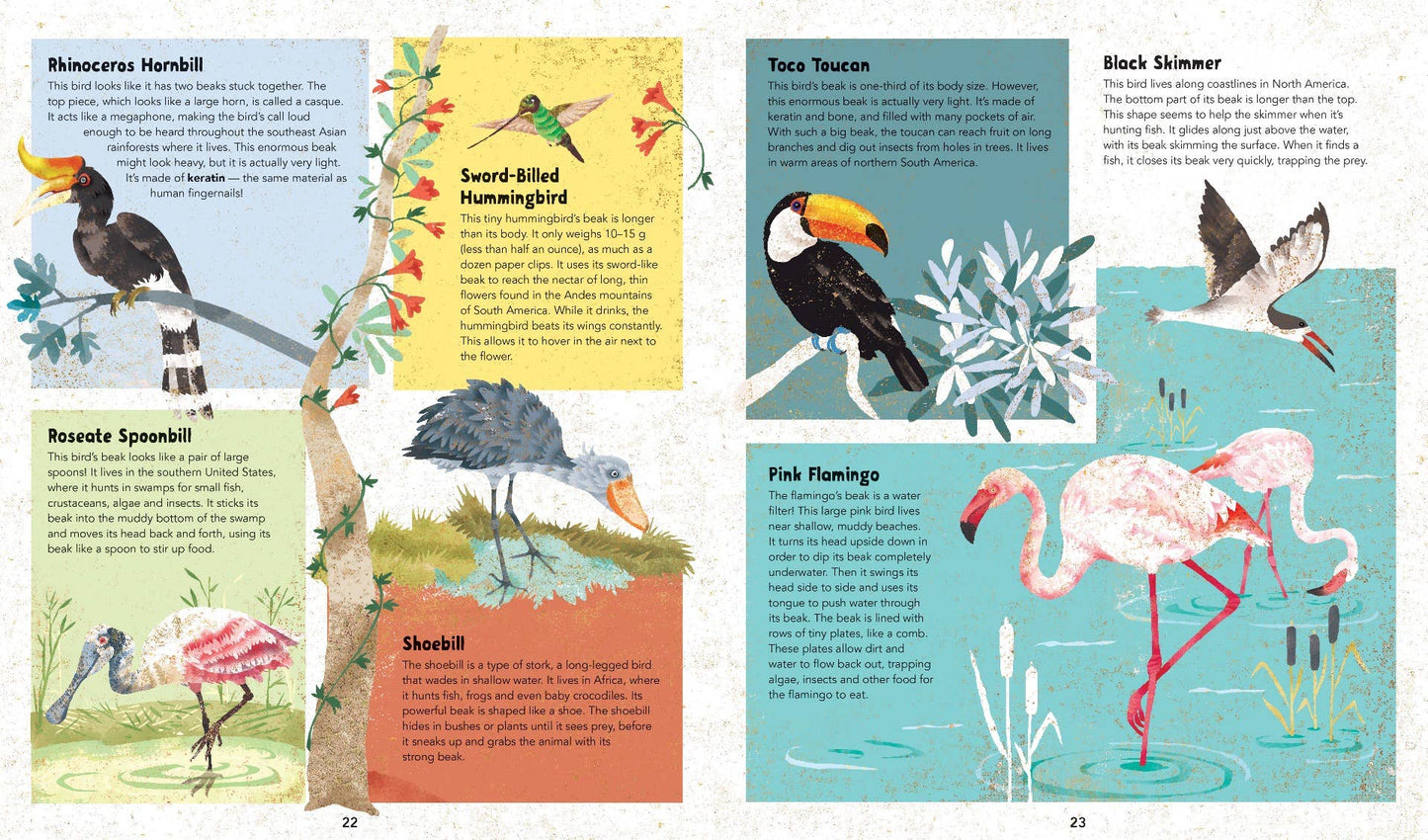 Barefoot Books Incredible Animals - Children's Book
