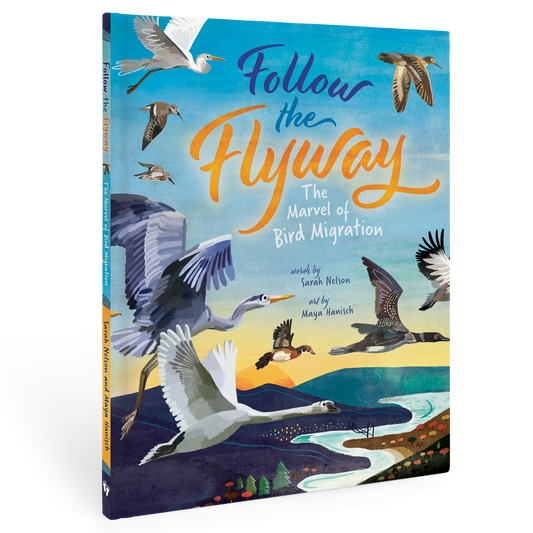 Follow the Flyway - Children's Book