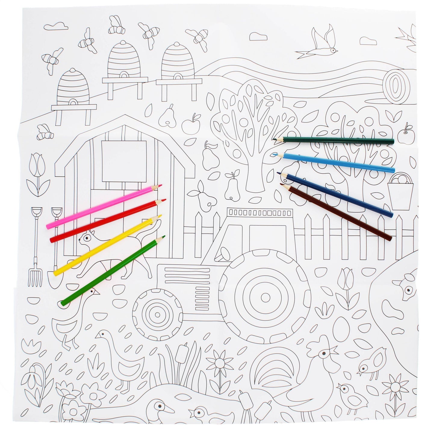 Large Colouring Poster With Pencils - On The Farm