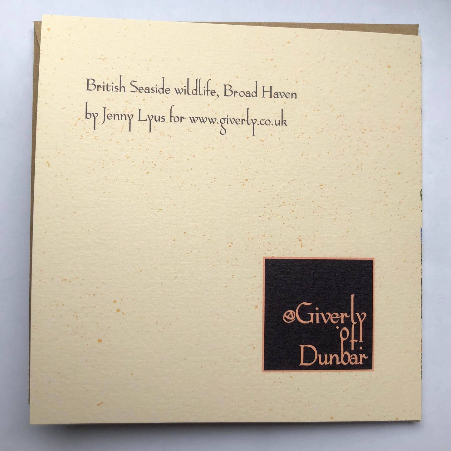 Birthday Card Another Year Wilder Wiser Coastal