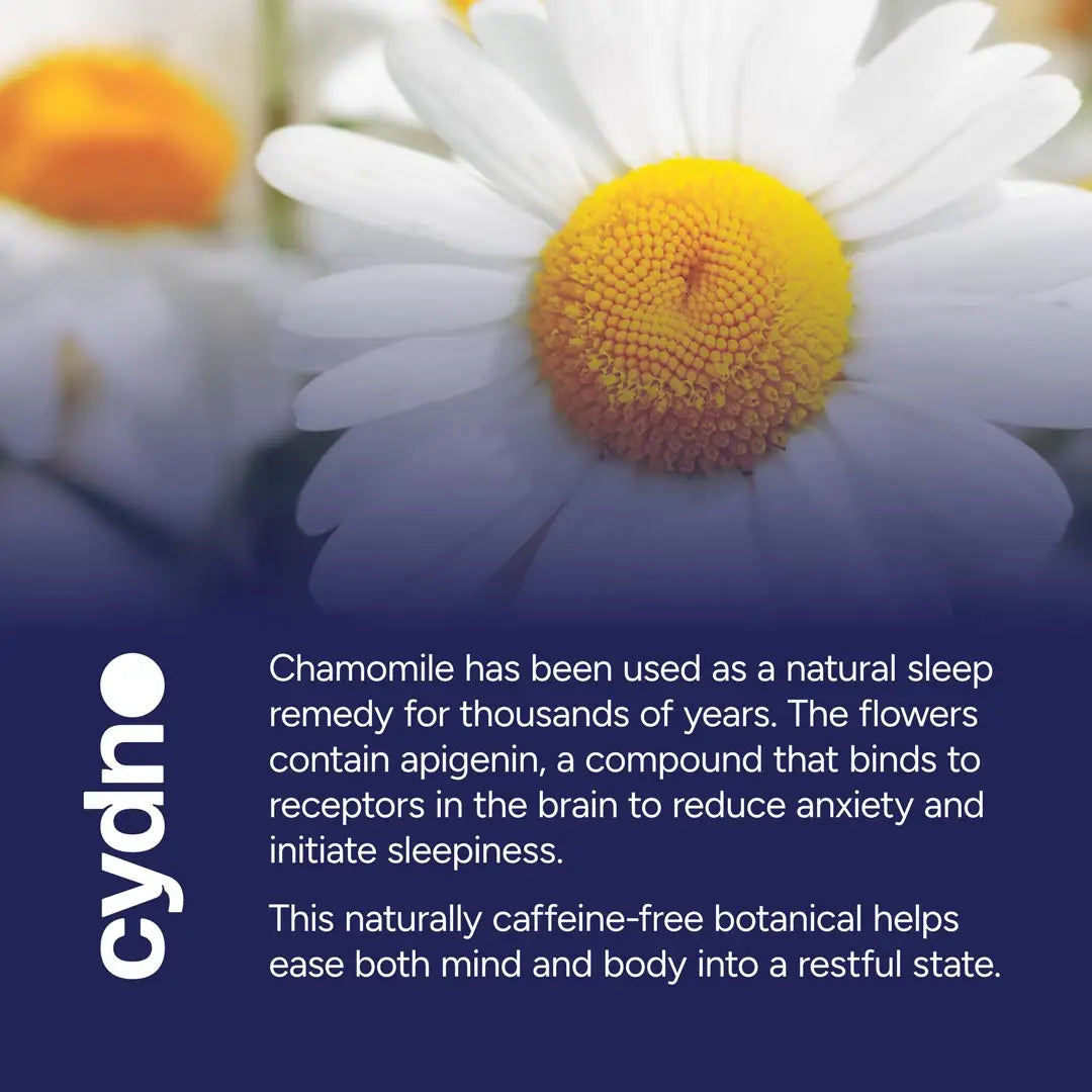 Sleepy Tea | Chamomile Tea Bags | Plastic-Free Pyramid Bags