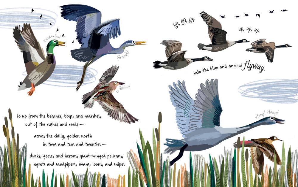 Follow the Flyway - Children's Book