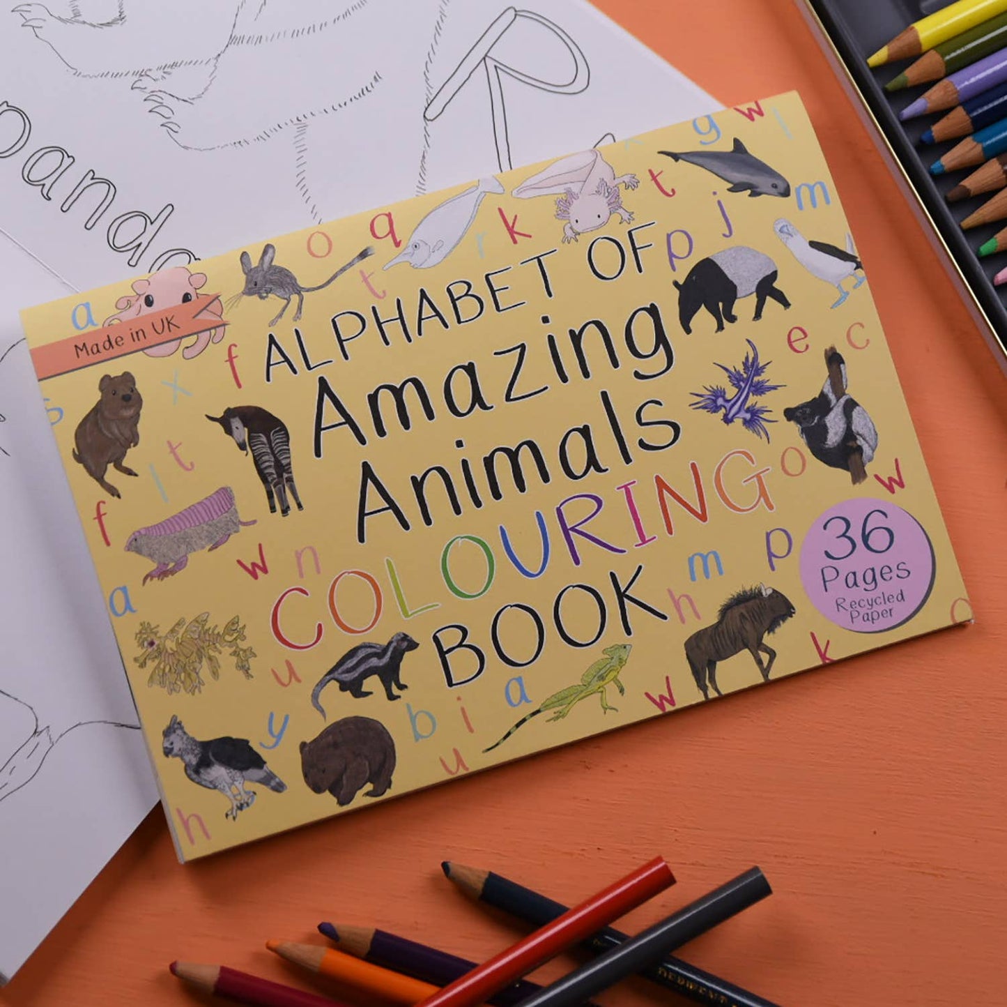 Alphabet of Amazing Animals Colouring Book