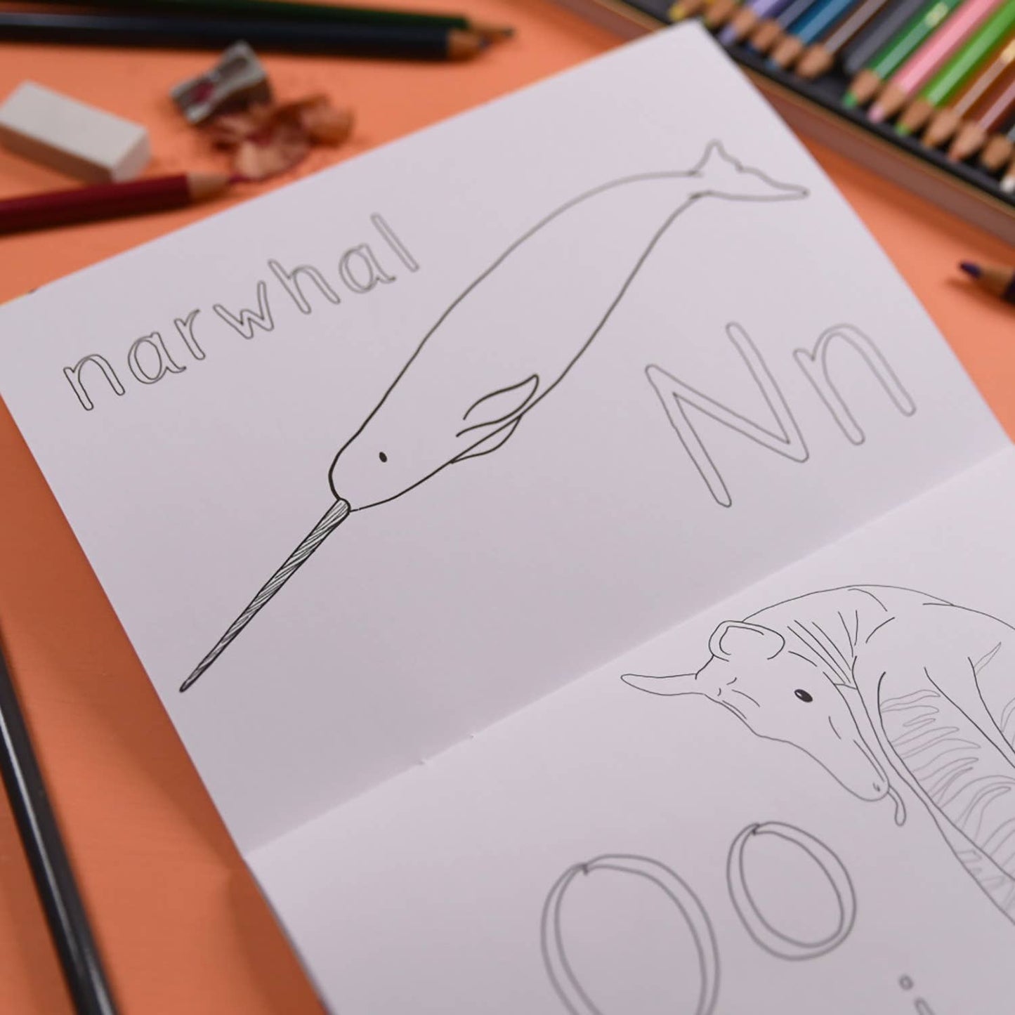 Alphabet of Amazing Animals Colouring Book