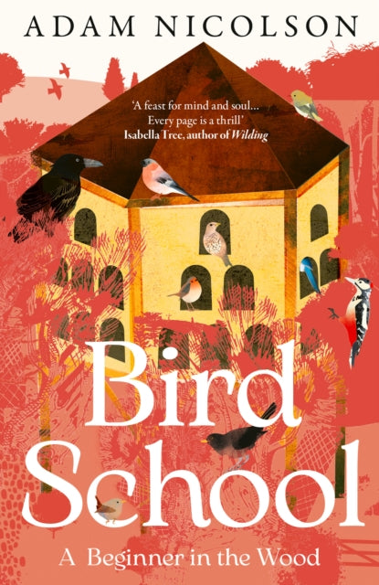 Bird School : A Beginner in the Wood by Adam Nicolson