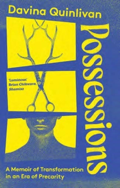Possessions : A Memoir of Transformation in an Era of Precarity by Davina Quinlivan