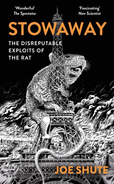 Stowaway : The Disreputable Exploits of the Rat by Joe Shute