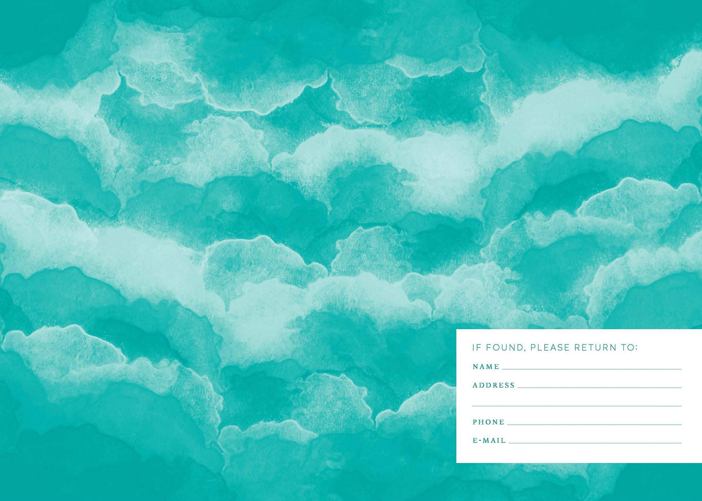 One Sketch a Day: A Visual Journey