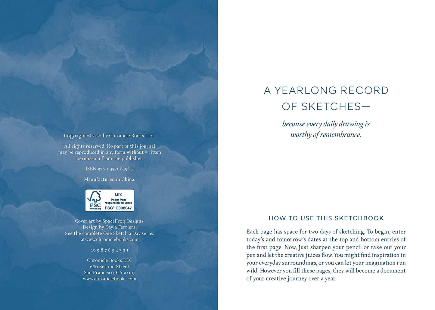 One Sketch a Day: A Visual Journey
