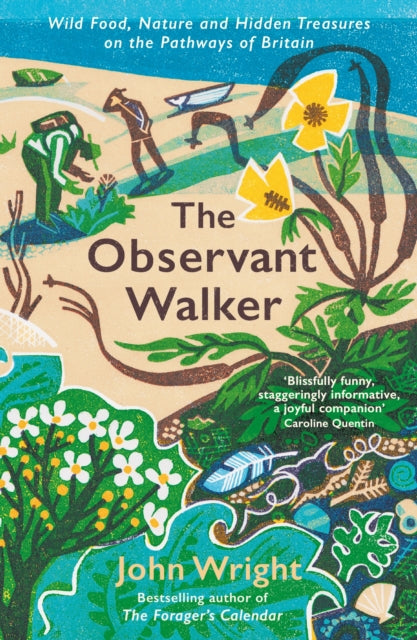The Observant Walker by John Wright