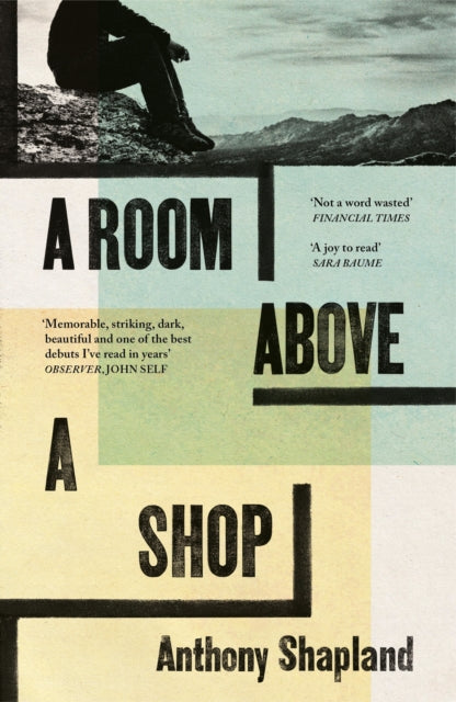 A Room Above the Shop by Anthony Shapland