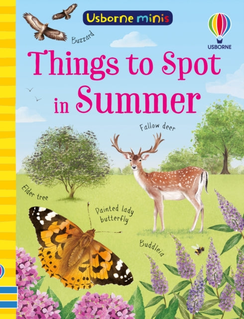 Things to Spot in Summer by Kate Nolan and Lara Bryan