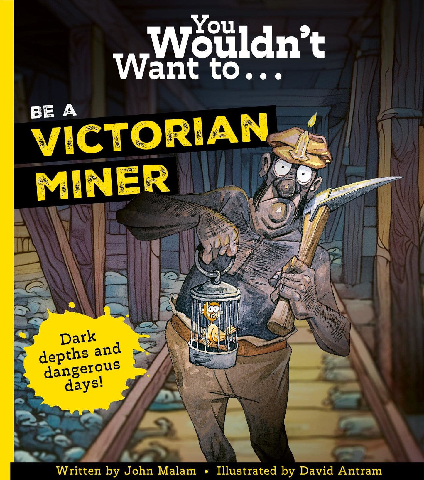 You wouldn't want to be a Victorian Miner by John Mallam