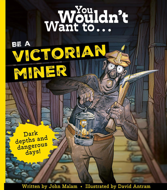You wouldn't want to be a Victorian Miner by John Mallam