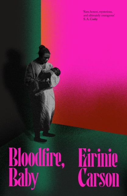 Bloodfire, Baby : a gothic tale about motherhood, ghosts and heritage by Eirinie Carson