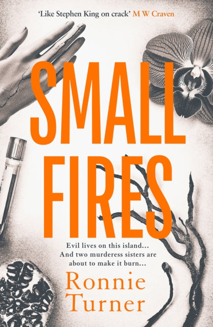 Small Fires by Ronnie Turner