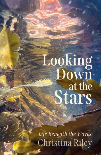 Looking Down at the Stars : Life beneath the waves by Christina Riley