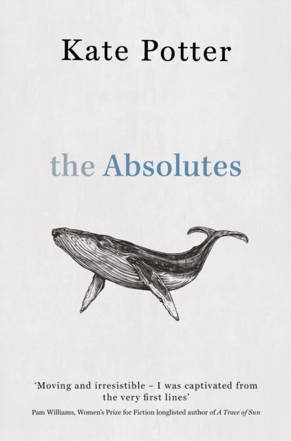 The Absolutes : a profound exploration of grief told through fragments of memory by Kate Potter