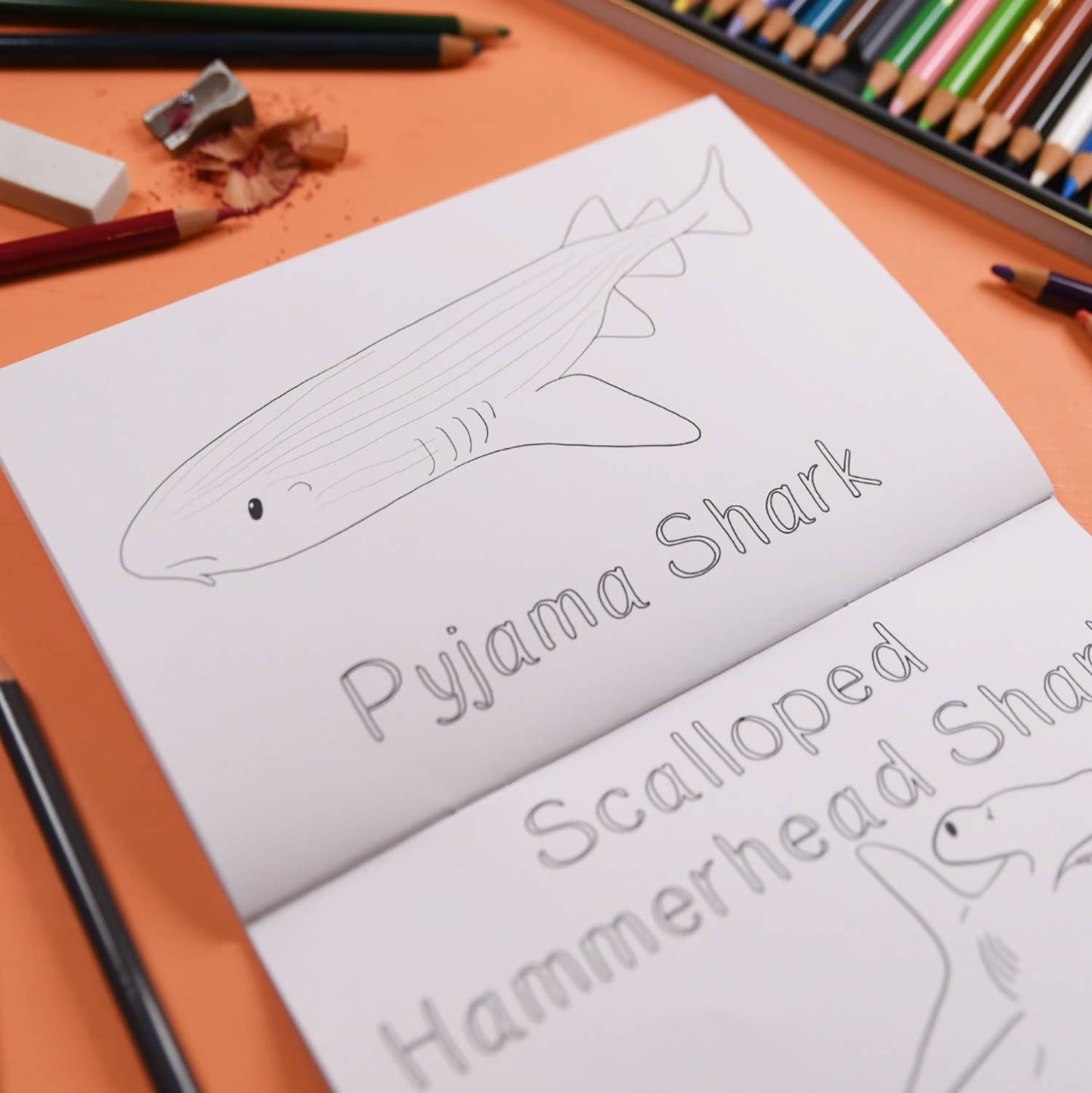 Amazing Sharks Colouring Book