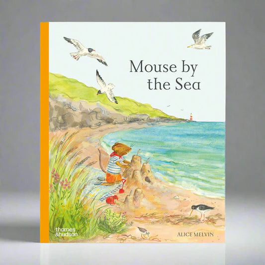 Mouse by the Sea : A Holiday in Nature by Alice Melvin