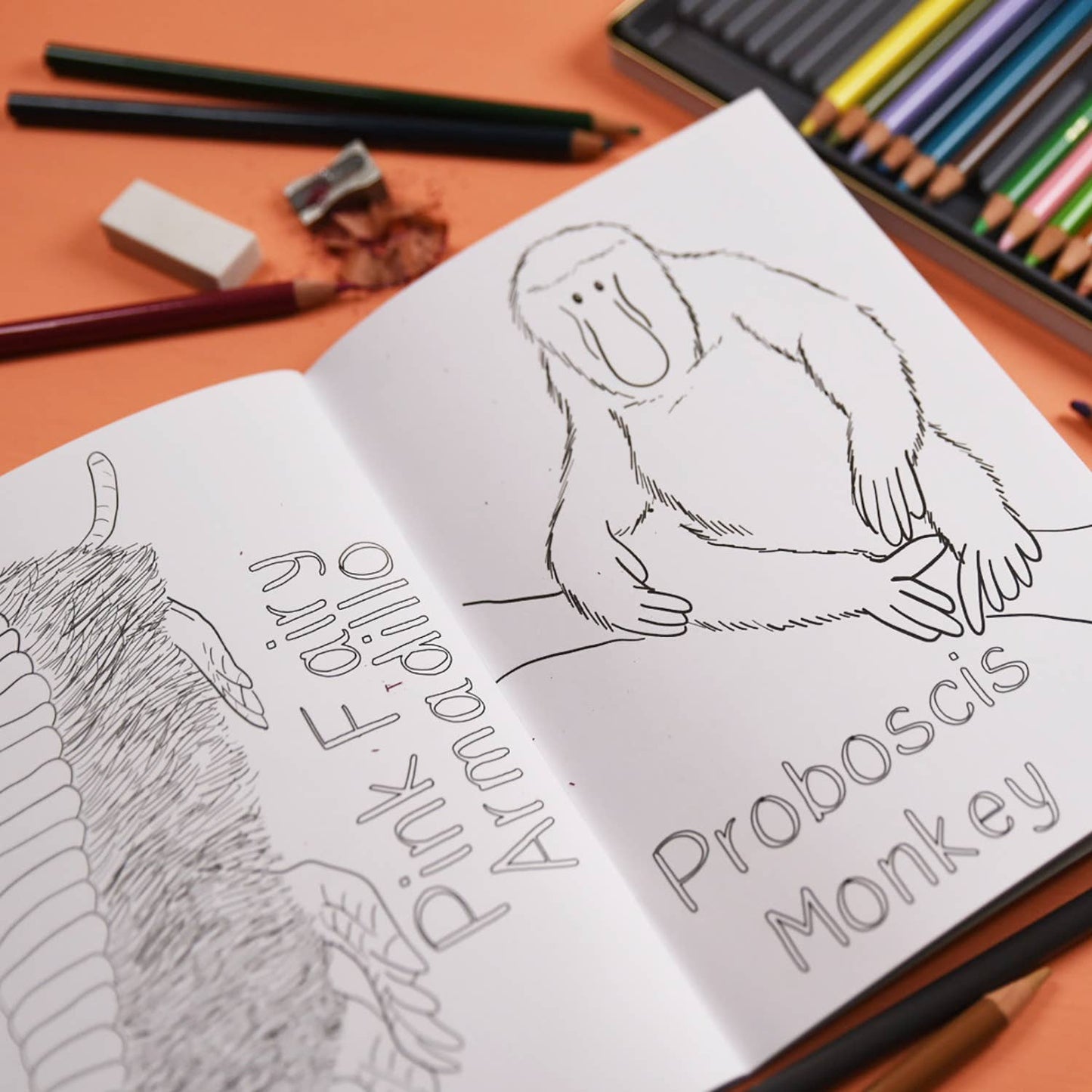 Amazing Animals Set One Colouring Book