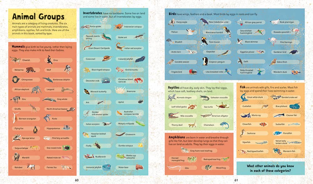 Barefoot Books Incredible Animals - Children's Book