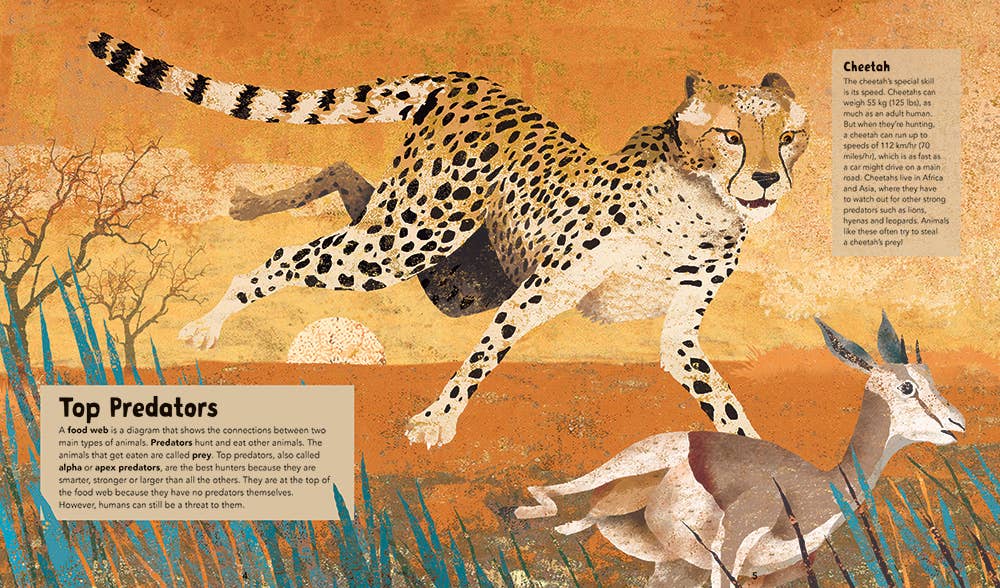 Barefoot Books Incredible Animals - Children's Book