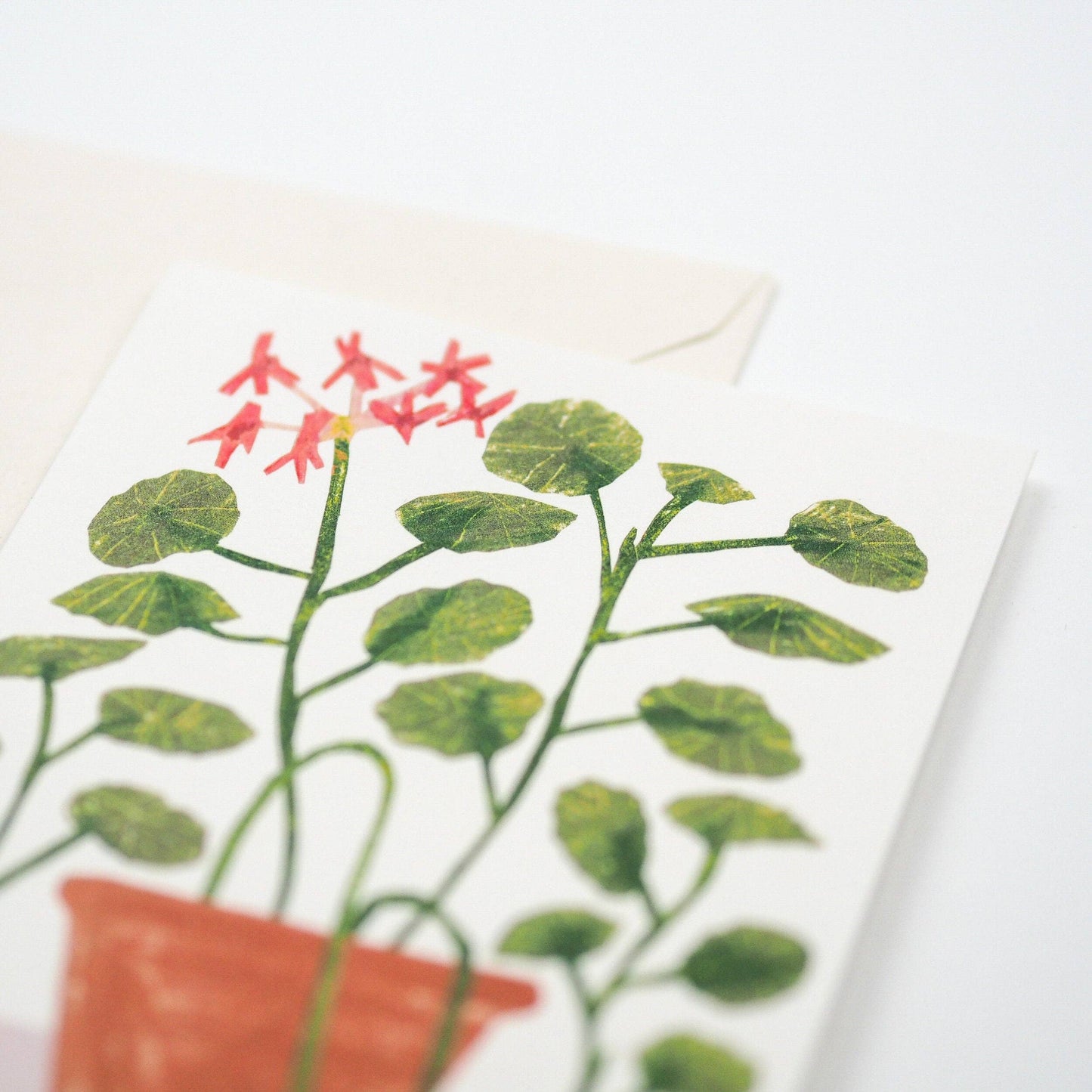 Red Geranium Card